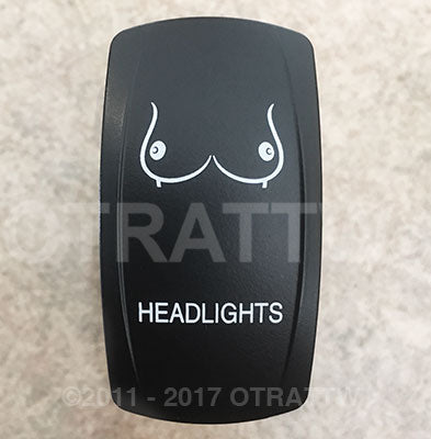 Switch, Rocker Headlights 860445
