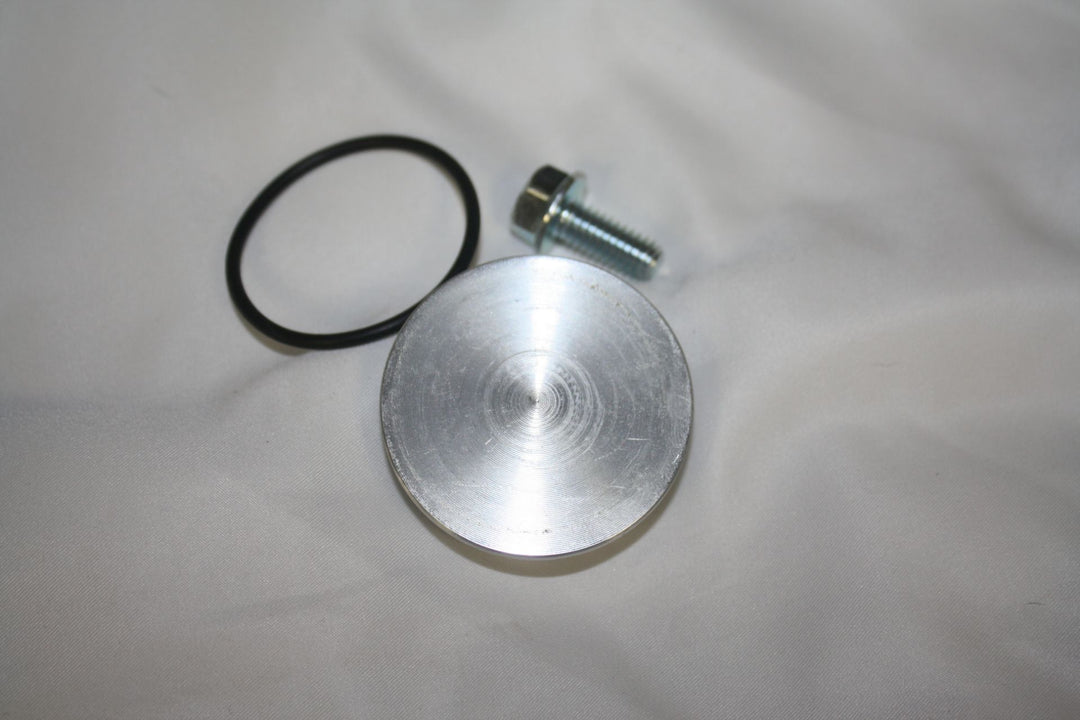 Speedometer Hole Plug Kit - 300621