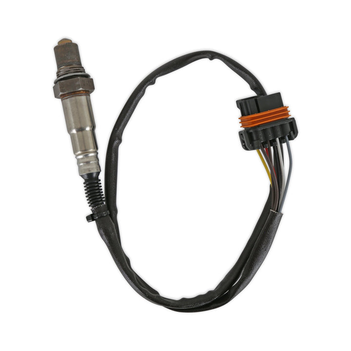 HP EFI ECU & Harness Kits | SKU 550-602