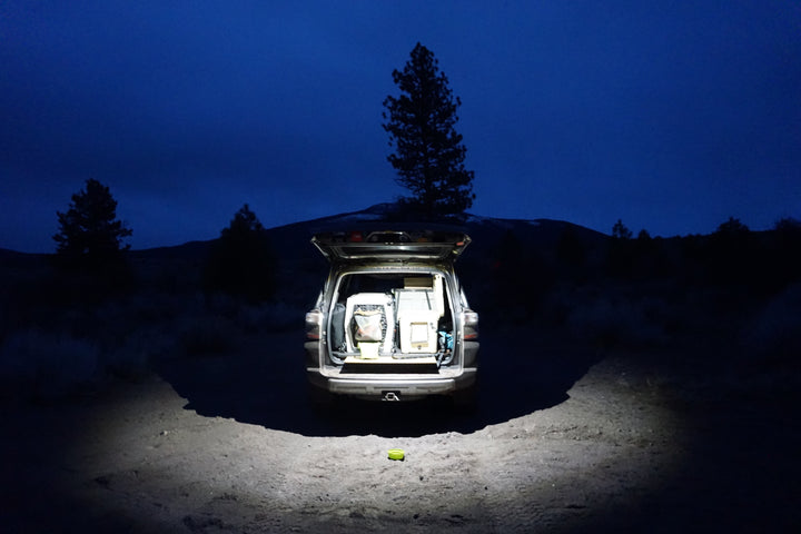 LED Dome Light w/Switch Clear