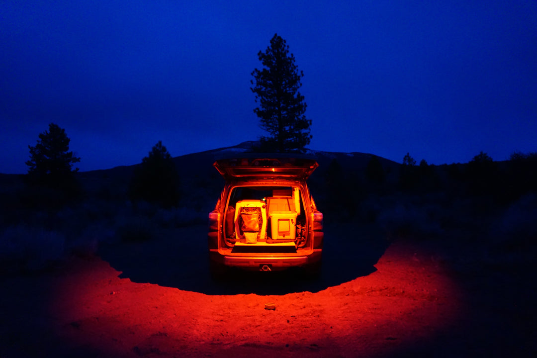 LED Dome Light w/Switch Red