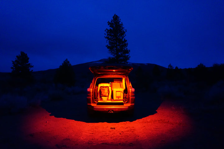 LED Dome Light w/Switch Red
