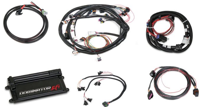Dominator EFI Kit - LS2 Main Harness w/ Trans and DBW with EV1 Injector Harness | SKU 550-660