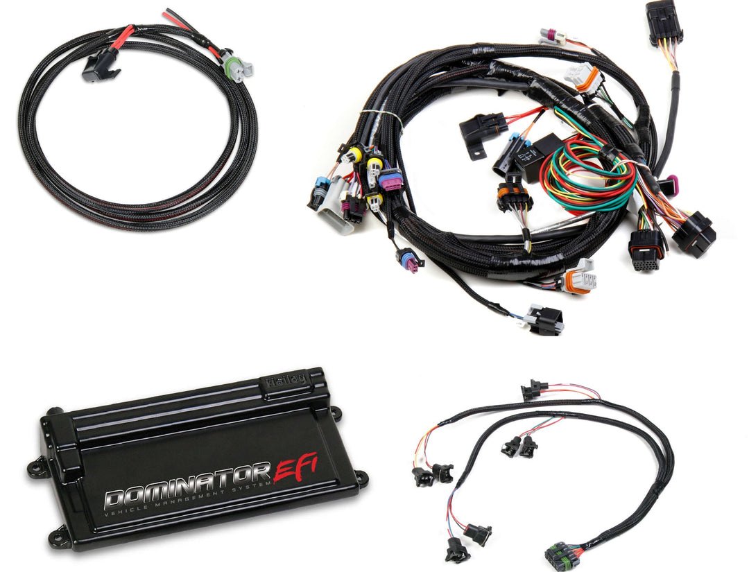 Dominator EFI Kit - LS1 Main Harness with EV1 Injector Harness | SKU 550-650