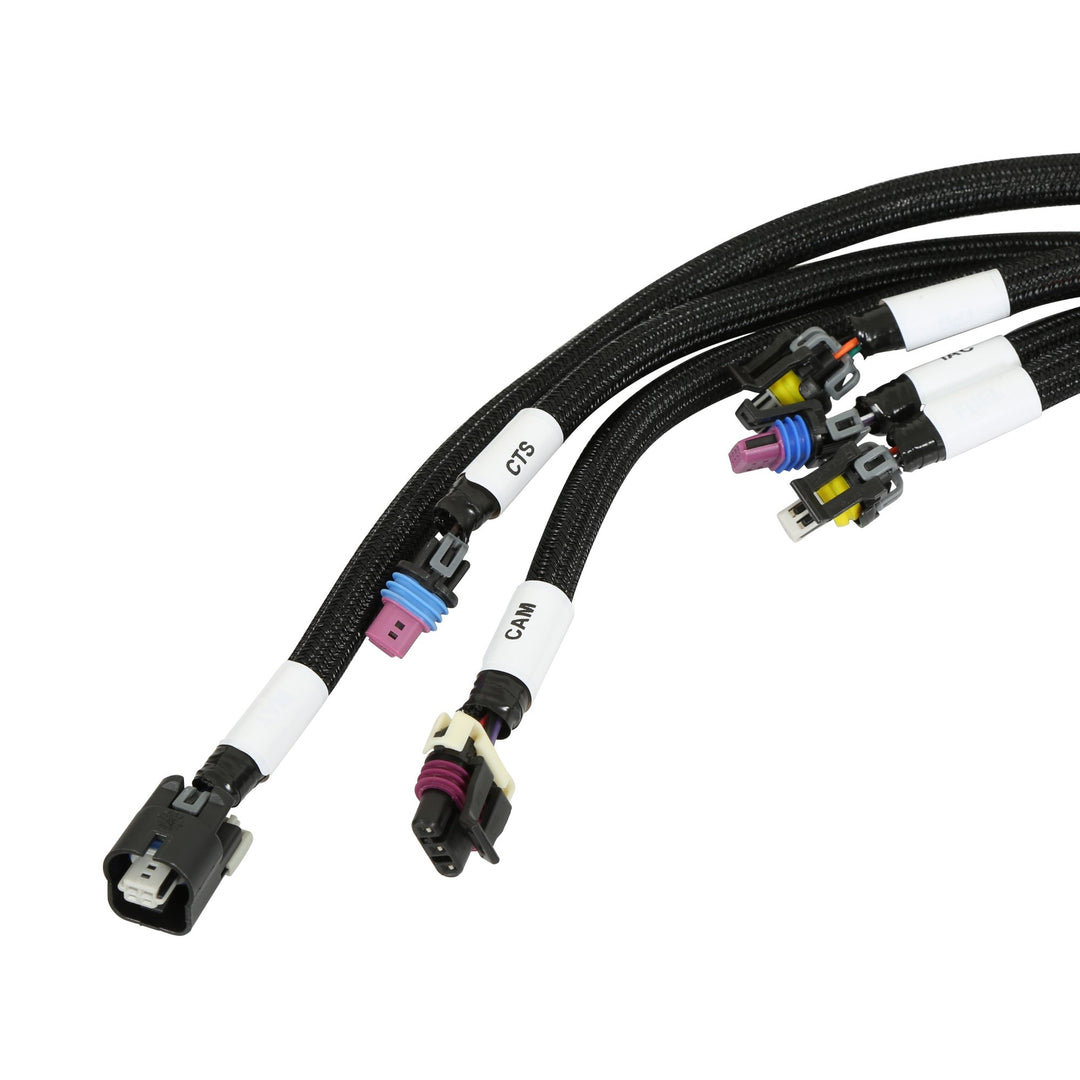 HP EFI ECU & Harness Kits | SKU 550-603N