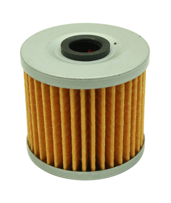 AEM Honda High Volume Fuel Filter Element | SKU 25-203
