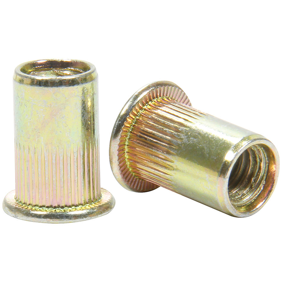Allstar Threaded Insert 1/4"-20 Thread Steel Set of 10 ALL19463