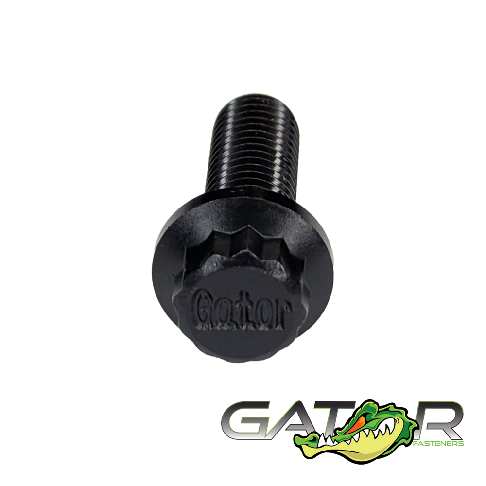 Bolt Pack M10x1.5x30 HD220 Material 5 Bolts & Washers Gator Fasteners | SKU BPM10-1.5-30-5-JDZH