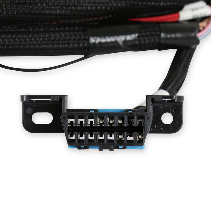 Holley EFI Terminator X Max - 24x Early Truck with 6L80 Control | SKU 550-917-6