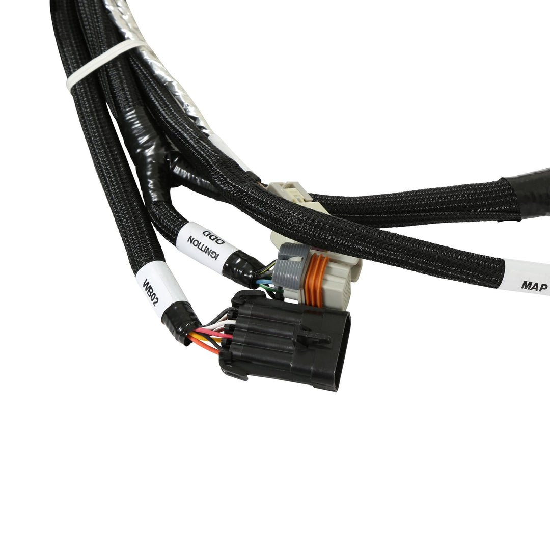 HP EFI ECU & Harness Kits | SKU 550-603N